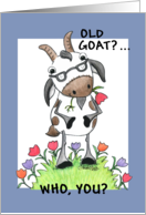 Happy Birthday Humor Old Goat Wearing Glasses card