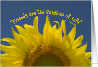 Friendship - Yellow Sunflower card