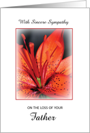 Loss of Father Sympathy Red Flower card