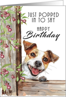 Jack Russell Dog Peeping Around a Fence to Say Happy Birthday card