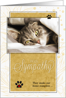 Pet Sympathy Loss of a Cat Gold and White Sentimental card