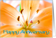 Employee Anniversary - Orange Lily card