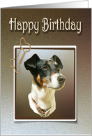 Happy Birthday Greeting Card, with Cute Jack Russell Dog card