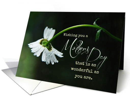 Wonderful Mother's Day - White Daisy card (1046815)
