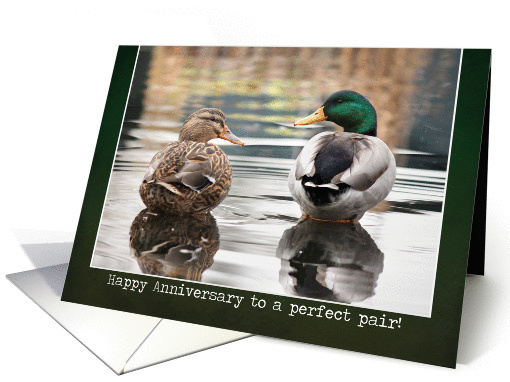 Perfect Pair - Anniversary card (1256854)