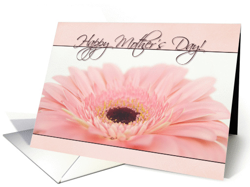 Mother's Day - Pink Gerbera Daisy card (1266752)