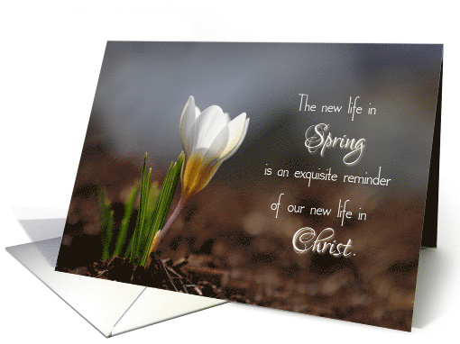 New Life in Christ Spring Flower Easter card (1762846)
