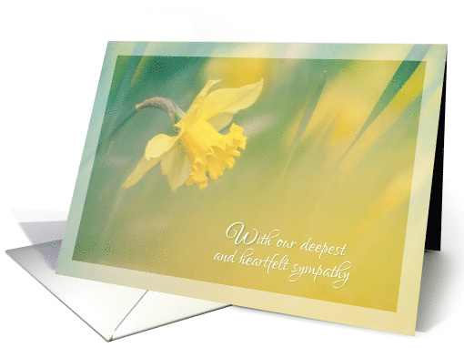 Cancer Flower  Daffodil Sympathy card (1770768)