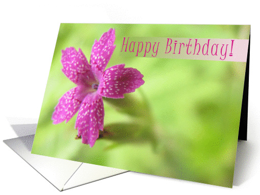 Cheery Flower Happy Birthday card (856647)