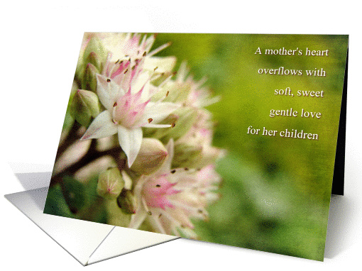 Mother Birthday - Gentle Heart card (858478)