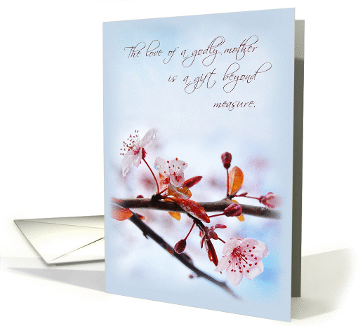 Godly Mother - Plum Blossoms Mother's Day card (918633)
