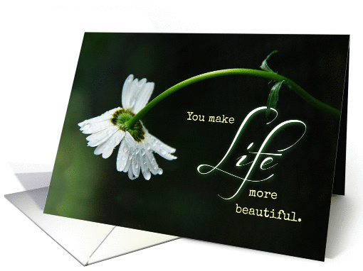 You Make Life More Beautiful - Daisy card (957623)