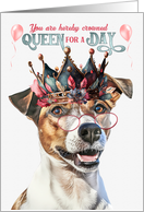 Birthday Smooth Coat Jack Russell Terrier Dog Queen for a Day card