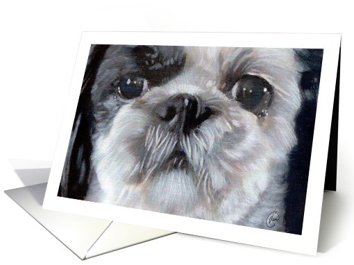 Shih Tzu Puppy Dog Breed Painting Portrait card (734766)