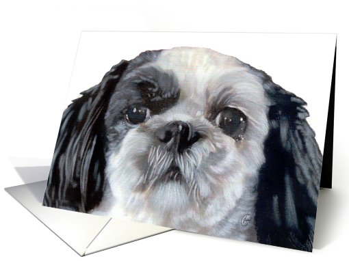 Shih Tzu Puppy Dog Breed Painting Portrait card (734767)