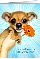 Encouragement Cartoon Chihuahua Puppy Here for You card