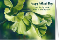 Fathers Day for Like a Dad Sunlit Green Ginkgo Leaves Custom card
