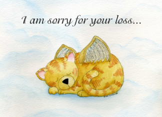 My Beautiful Cat Jess Went To Rainbow Bridge Today
