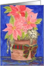 Happy Holidays, Cat Sleeping in Poinsettia