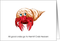 Pet Hermit Crab Heaven Sympathy card