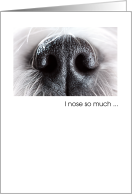 I Know So Much Dog Nose Trainer Thank You card