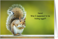 Grey Squirrel Easter Nuts or Eggs Confusion card