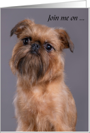 No Shave November Brussels Griffon Dog Mustache Awareness Day card