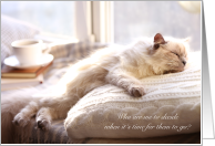 Cream Slumbering Cat Sympathy Who are We to Decide Put to Sleep card