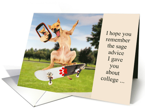 Skateboard Chihuahua Selfie Sage Advice at College card (1354172)