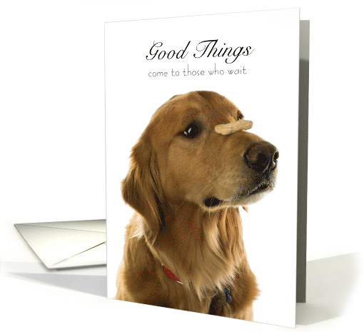 Patient Golden Retriever Dog Trick Treat Bone Encouragement card