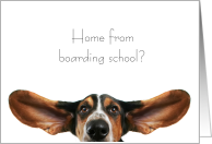 Basset Hound All Ears Welcome Home from Boarding School card