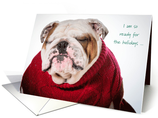 So Over the Holidays Cute Bulldog in Red Sweater card (1398038)