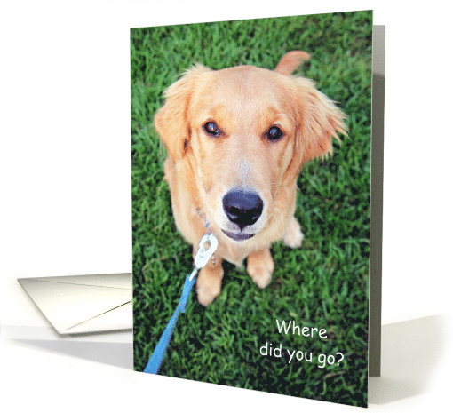 Thinking of You at College from Pet Dog Humor card (1447550)