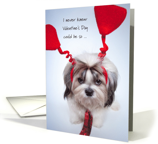 Humiliating Valentine's Day Shih Tzu Begs College Student... (1465036)