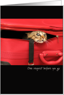 Moving Farewell Tabby Cat Stowaway in Luggage Take me with you Humor card