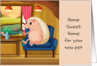 Pet Hedgehog Home Sweet Home in a Chair Congratulations card