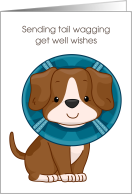 Get Well Tail Wagging Wishes Brown Dog in Cone card