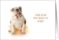Cute Bulldog in Tutu Dressed Up New Year’s Humor card