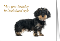Long and Fancy Dachshund Dog Birthday Humor card