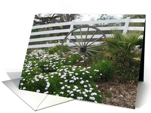 Alamo Wagon Wheel Blank Note card (48046)