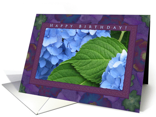 Happy Birthday Blue Hydrangeas card (554739)