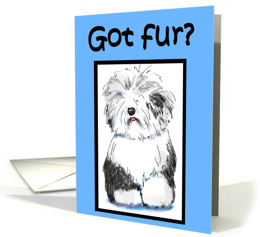 Business Relations Hair Cut Dog Pet ReminderVet card (366199)