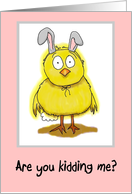 Funny Humor Happy Easter Chick Card