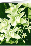 Cymbidium Orchid card