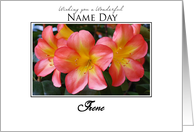 custom name day greeting clivia Irene card