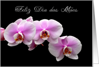 Feliz Dia das Mes Portuguese mother’s day orchids card