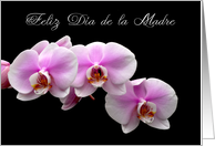 Feliz Dia de la Madre Spanish mother’s day orchids card