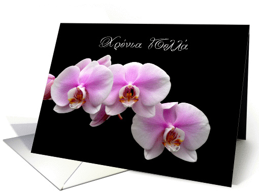Pink orchids for Greek Name Day card (1085122)