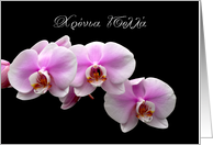 Pink orchids for Greek Name Day card