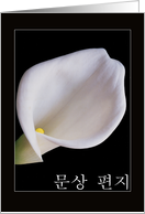 lily condolences korean card